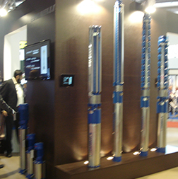 Gallery Item 3