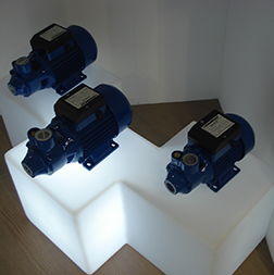 Gallery Item 5