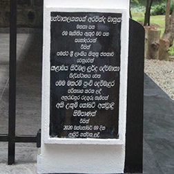 Gallery Item 10