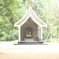 Gallery Item 8